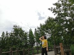 -眉山湿地公园(东坡区)