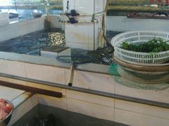 -福春大市场水产厅