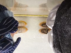 -世界之窗阿尔卑斯冰雪世界