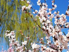 -大兴滨河森林公园