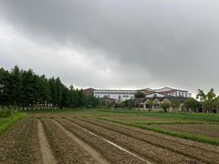 -乌村