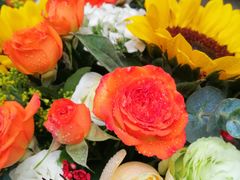 -花市豌杂面(民生路店)