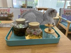 -李小姐の猫咖啡馆(五角场店)