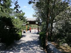 -阳台山自然风景区