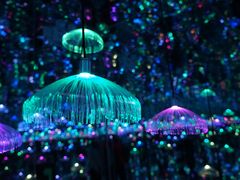 -深圳独角兽星空艺术馆
