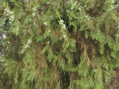 -张掖大佛寺景区