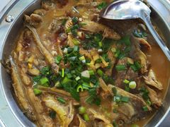 -全乐鱼馆·淳牌有机鱼直营店