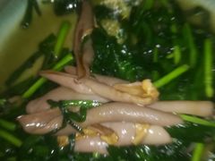 韭菜炒海肠-威海渔村(静安旗舰店)