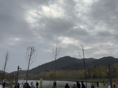 -千年银杏谷文化旅游区