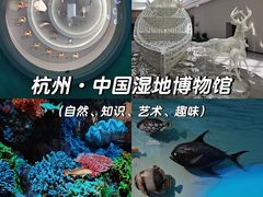 -中国湿地博物馆