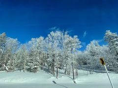 -雪谷