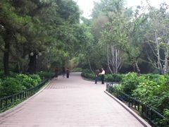 -紫竹院公园冰场