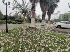 -府河摄影公园
