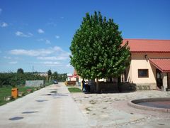 通向采摘圆的路-意大利农场度假村