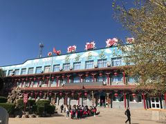 -东方巨龟苑景区