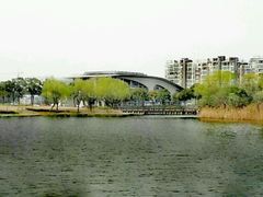 -新江湾城公园