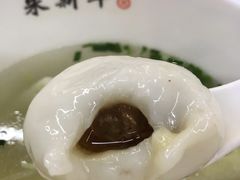 鲜肉汤团-朱新年·苏式汤团·面点(北寺塔店)