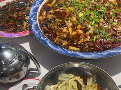 -新概念来凤鱼(璧山店)