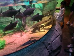 -沈阳海洋探索中心