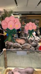 -造物庄园 萌宠纪(苏州湾歌林公园店)