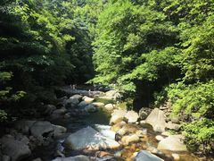 -大鄣山卧龙谷景区