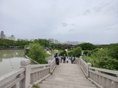 -江心屿景区