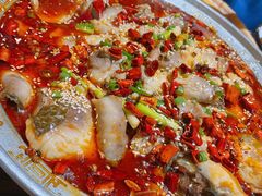 沸腾水煮鱼-东来菜馆•手抓海鲜家常菜•海鲜锅贴(鸽子窝店)