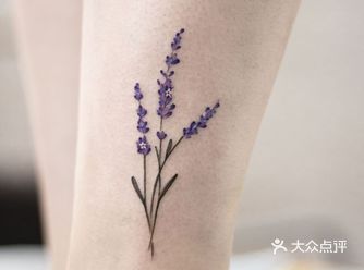 薰衣草总是带着诱人花香的美妙植物,多年生草本或小矮灌