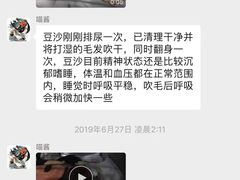 -泰洋动物医院·神经专科·磁共振·CT(天河公园总院)