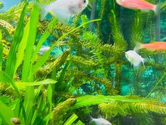 -梦幻海洋王国(吾悦广场张家港店)