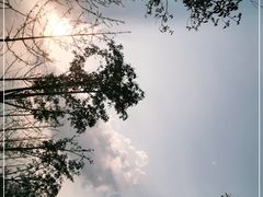 -郑东新区龙湖公共艺术中心