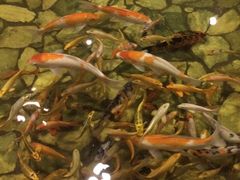 -泉城欧乐堡戏水湾艺术养生温泉