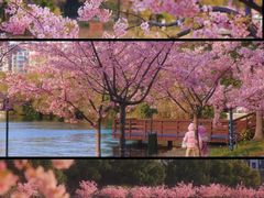 -新江湾城公园