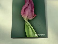 -中国湿地博物馆