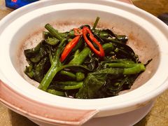 -有心德(麦地店)