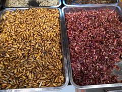 -昆虫窝子·特色云南菜(拓东路总店)