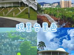 -白石龙音乐公园
