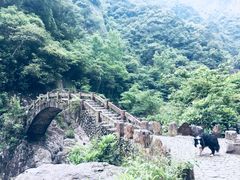 -龙湾潭国家森林公园