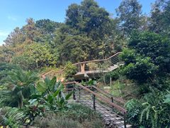 -深圳仙湖植物园