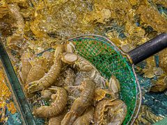 -好兄弟郭巨海鲜(天一阁店)