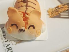 -猫小院猫主题餐厅(南锣旗舰店)