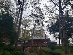 -南宁南湖公园