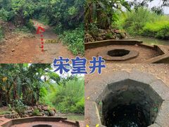 -硇洲岛旅游区