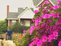 -崂山仰口游览区