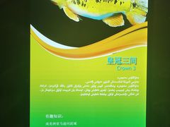 -乌鲁木齐海洋馆