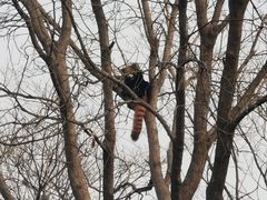 -石家庄市动物园