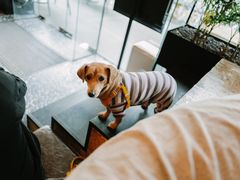 -Moka Bros 摩卡站(嘉华店)