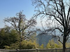-莫干山风景区