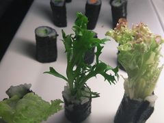 彩色寿司-比格比萨自助(延庆万达广场店)