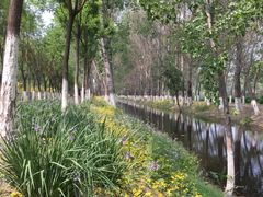 -东郊湿地公园